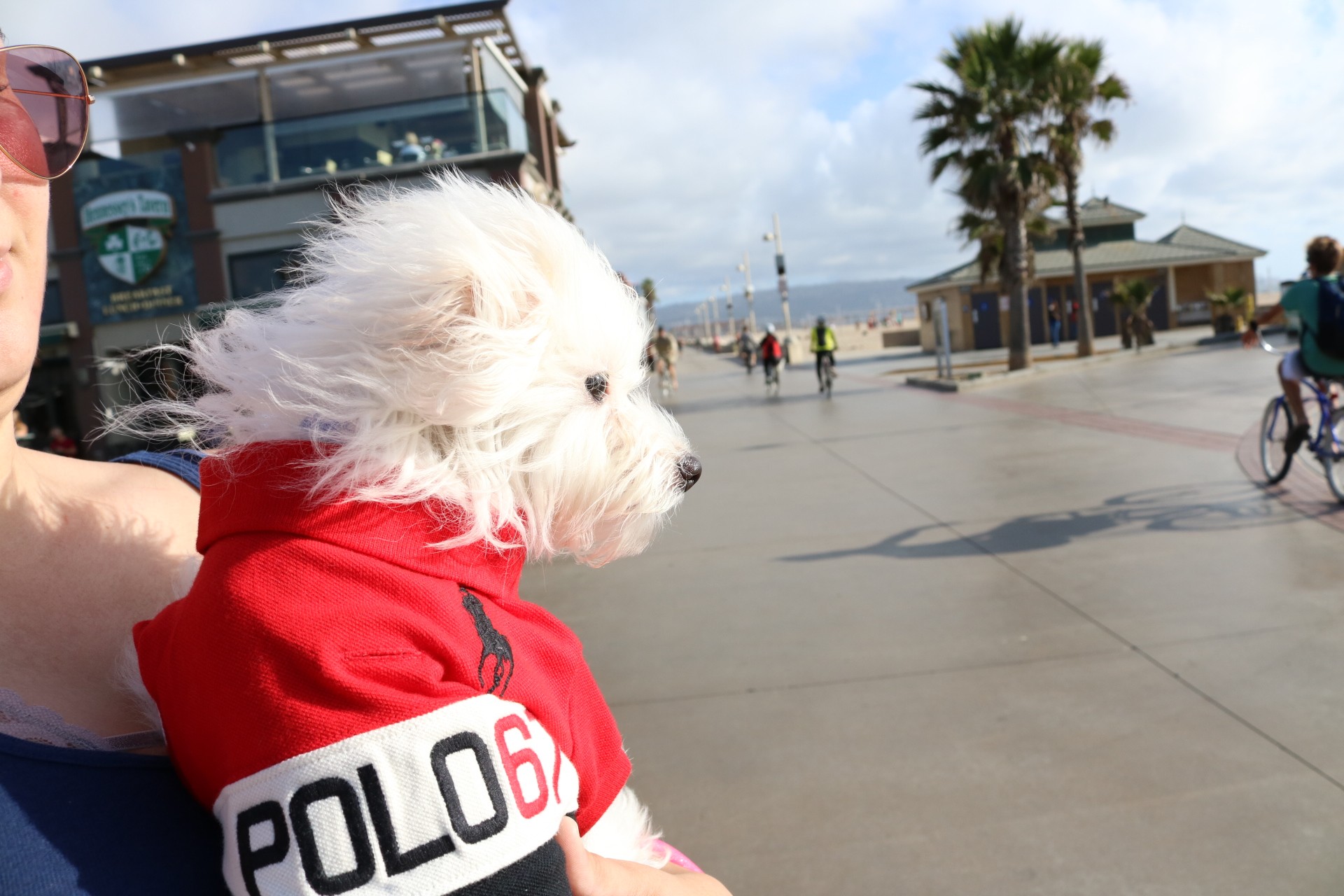 Winston in a red polo shirt, held up on the boardwalk by the pier